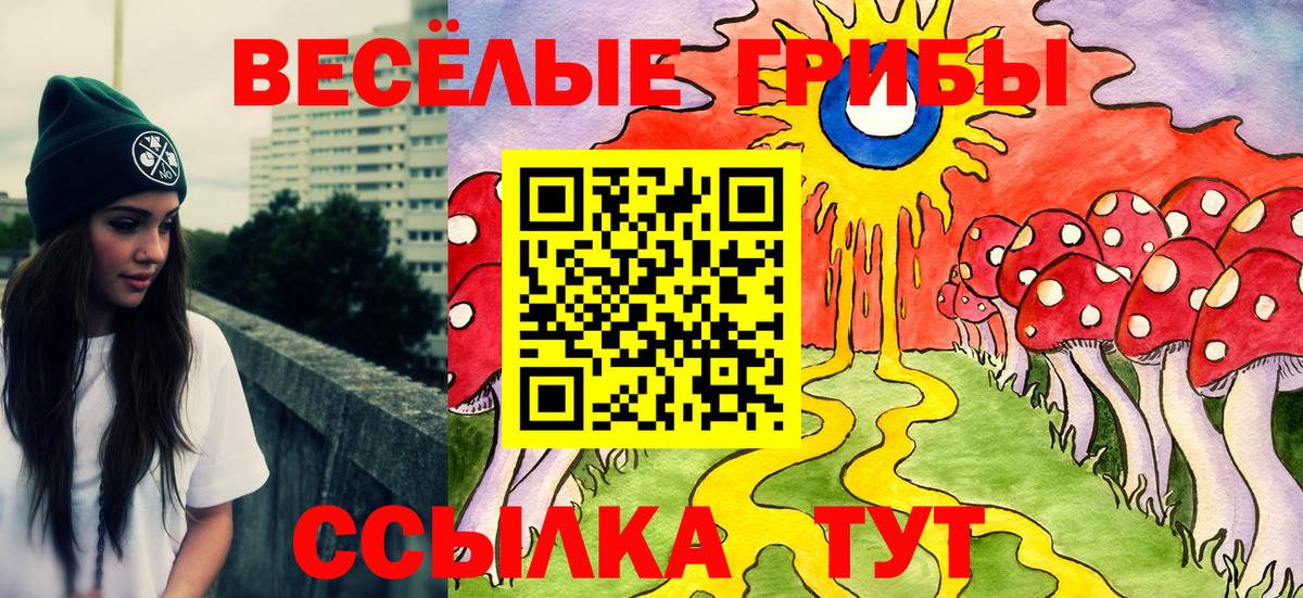 Галлюциногенные грибы мицелий  Вход с VPN  Лесозаводск  Галлюциногенные грибы мицелий 