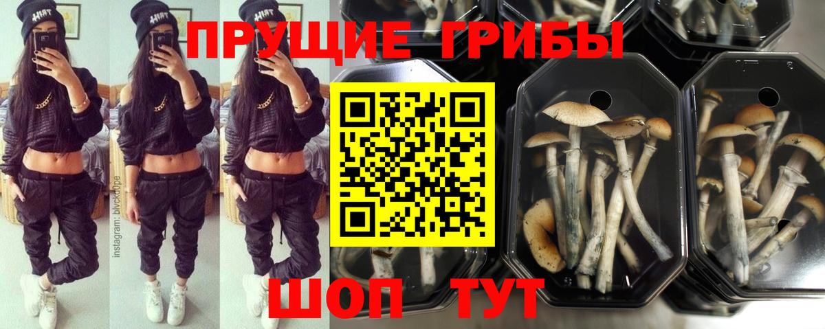 Псилоцибиновые грибы прущие грибы Лесозаводск